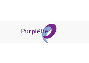 Hayward Dry Cleaners PurpleTie