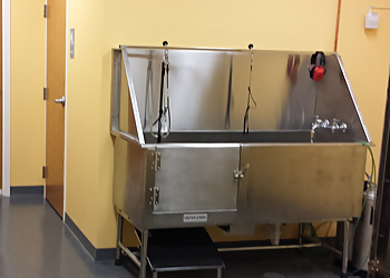 Naperville Pet Grooming PurrFurred Pet Styling Naperville