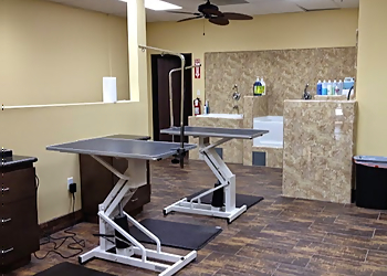 Lancaster Pet Grooming Purrfectly Pampered Paws Salon And Spa