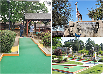 Arlington Amusement Parks Putt-Putt Fun Center