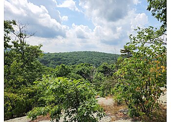 Jersey City Hiking Trails Pyramid Mountain Natural Historic Area