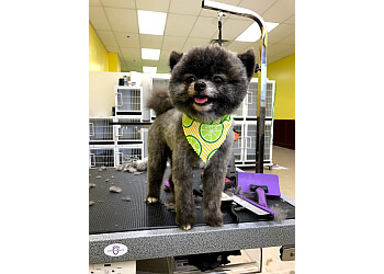 Ontario Pet Grooming Q Pet Grooming