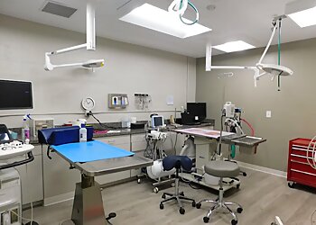 Raleigh Veterinary Clinics Quail Corners Animal Hospital