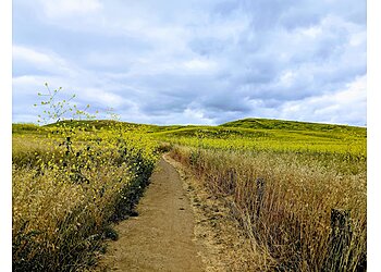 Irvine Hiking Trails Quail Hill Trailhead