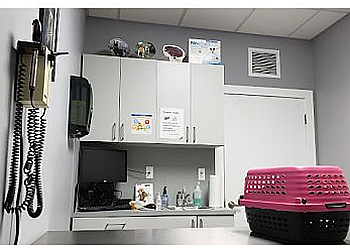 Miramar Veterinary Clinics Quality Care Animal Hospital