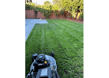 San Jose Lawn Care Services Quality Green