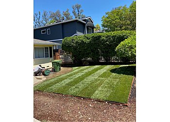 San Jose Lawn Care Services Quality Green