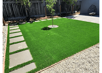 Quality Green San Jose Lawn Care Services