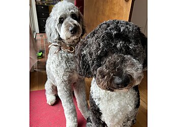 Ann Arbor Pet Grooming Quality Grooming LLC