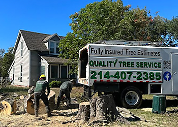 Quality Tree Service DFW Denton Tree Services image 1