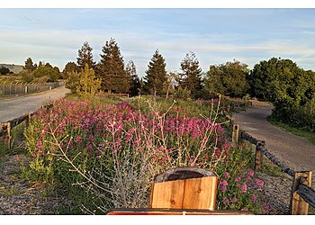 Fremont Hiking Trails Quarry Lakes Regional Recreation Area
