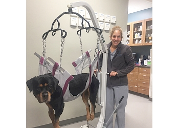 Quartet Veterinary Specialty - Cary, NC Veterinary Clinics - Medical Procedure Image