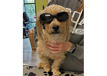 Queen City Animal Hospital - Charlotte, NC Veterinary Clinics - Healthcare Moments