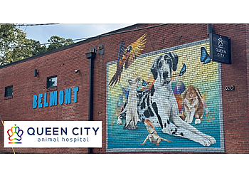 Queen City Animal Hospital Queen City Animal Hospital - Charlotte, NC Veterinary Clinics - Clinic Exterior Image