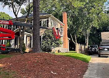 Charlotte Tree Services Queen City Tree Service