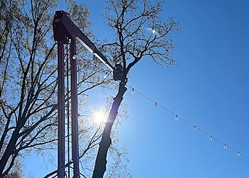 Charlotte Tree Services Queen City Tree Service