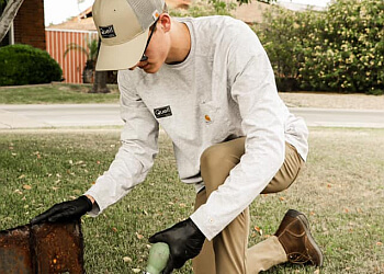 Irving Pest Control Companies Quell Pest Control