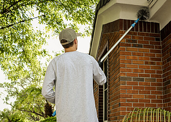 Irving Pest Control Companies Quell Pest Control