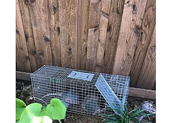 Carrollton Animal Removal Quick Capture Animal Removal