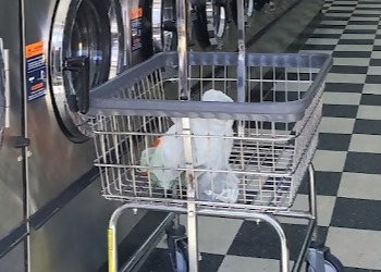 San Jose Laundromats Quickwash Laundry Inc