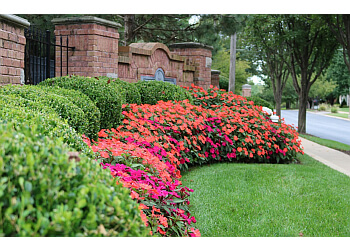 3 Best Landscaping Companies in St Louis, MO - Expert Recommendations