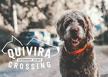 Quivira Crossing Veterinary Clinic - Overland Park, KS Veterinary Clinics - Service Highlights