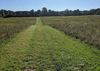 R.B. Stout Inc - Akron, OH Landscaping Companies - Job Site Image