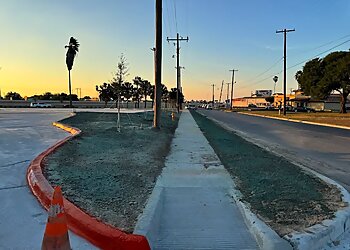 Brownsville Landscaping Companies RGV Property Solutions