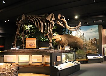 Rochester Landmarks RMSC (Rochester Museum & Science Center)