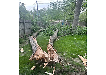 R&T Tree Experts, LLC - Fort Wayne, IN Tree Services