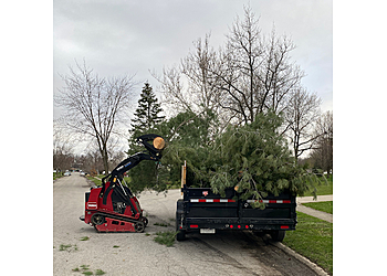 R&T Tree Experts, LLC - Fort Wayne, IN Tree Services