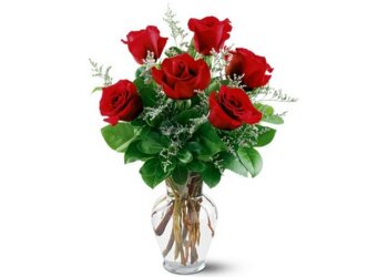 Racanello Florist - Stamford, CT Florists