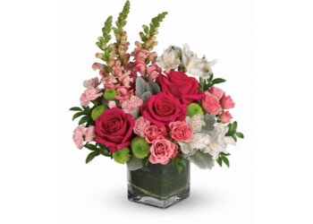 Racanello Florist - Stamford, CT Florists