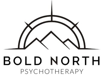 Minneapolis Therapists Rachel Herr, MA, LPCC - BOLD NORTH MENTAL HEALTH SERVICES, PLLC