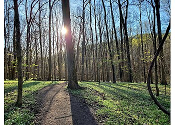 Nashville Hiking Trails Radnor Lake State Park