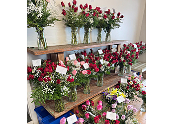 Hartford Florists Rae’s Dillon Chapin Florist
