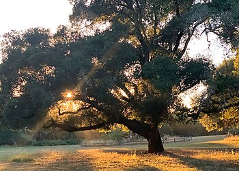 Santa Rosa Hiking Trails Ragle Ranch Regional Park