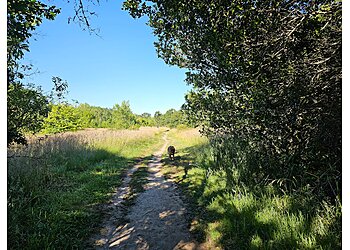 Ragle Ranch Regional Park Santa Rosa Hiking Trails image 1