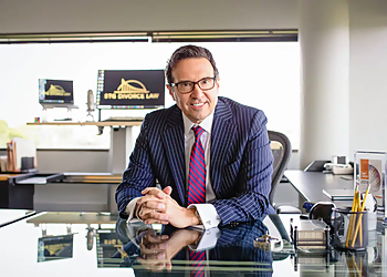 Raiford D. Palmer - STG DIVORCE LAW Naperville Divorce Lawyers image 1