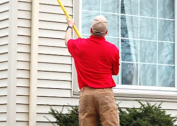 Minneapolis Pest Control Companies Rainbow Pest Experts