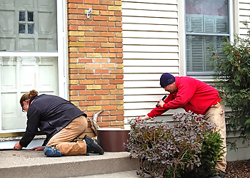 Minneapolis Pest Control Companies Rainbow Pest Experts