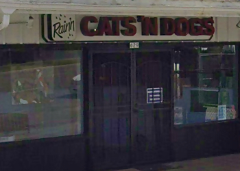 Raining Cats & Dogs Escondido Pet Grooming image 1