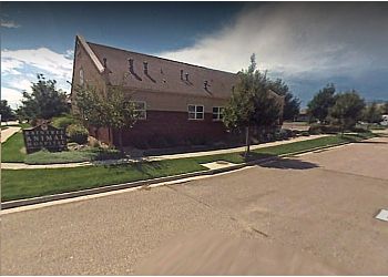 Raintree Animal Hospital Fort Collins Veterinary Clinics