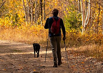 Raleigh Dog Walkers Raleigh Pet Sitters