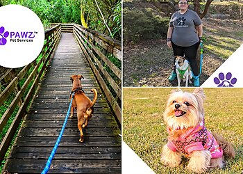 Raleigh Dog Walkers Raleigh Pet Sitters