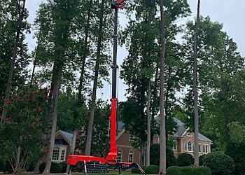 Raleigh Tree Services Raleigh Tree Service