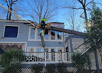 Raleigh Tree Services Raleigh Tree Service