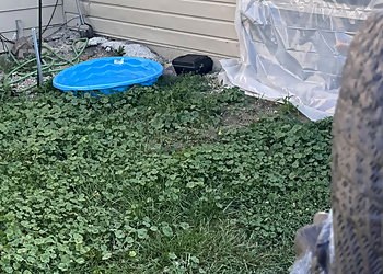 Ramer Pest Control - Fort Wayne, IN Pest Control Companies - Service Image