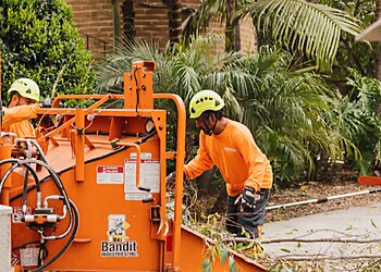 San Diego Tree Services Rancho Coastal