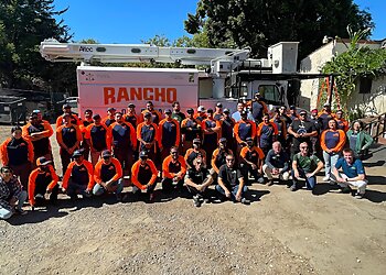 San Diego Tree Services Rancho Coastal